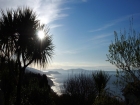 Good morning Dzogchen Beara icon